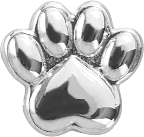 Slider Block Paw Charm — image 1 of 1