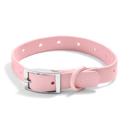 Dog Collar