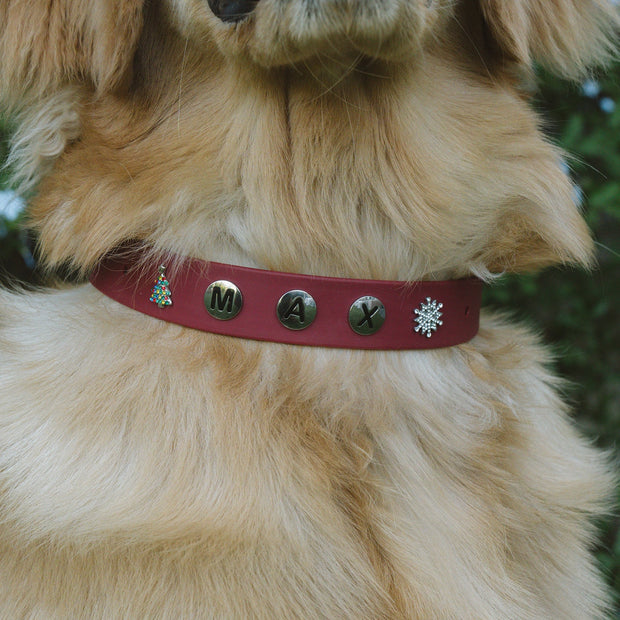 Build Your Dog Collar