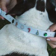 Build Your Dog Collar