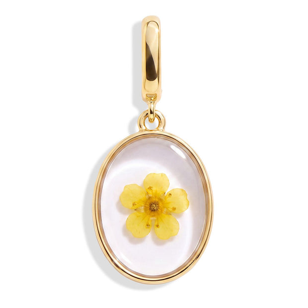 December Narcissus Pressed Birth Flower Charm - Gold