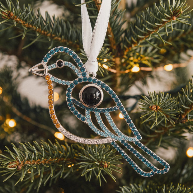 Personalized Blue Bird Photo Ornament, worn