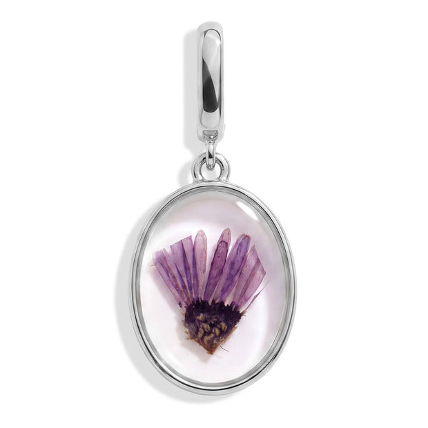 September Aster Pressed Birth Flower Charm - Silver